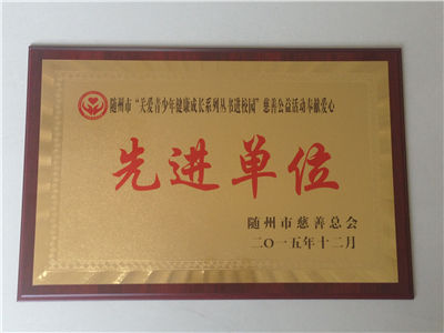 2015年随州市“关爱青少年健康成长”.jpg